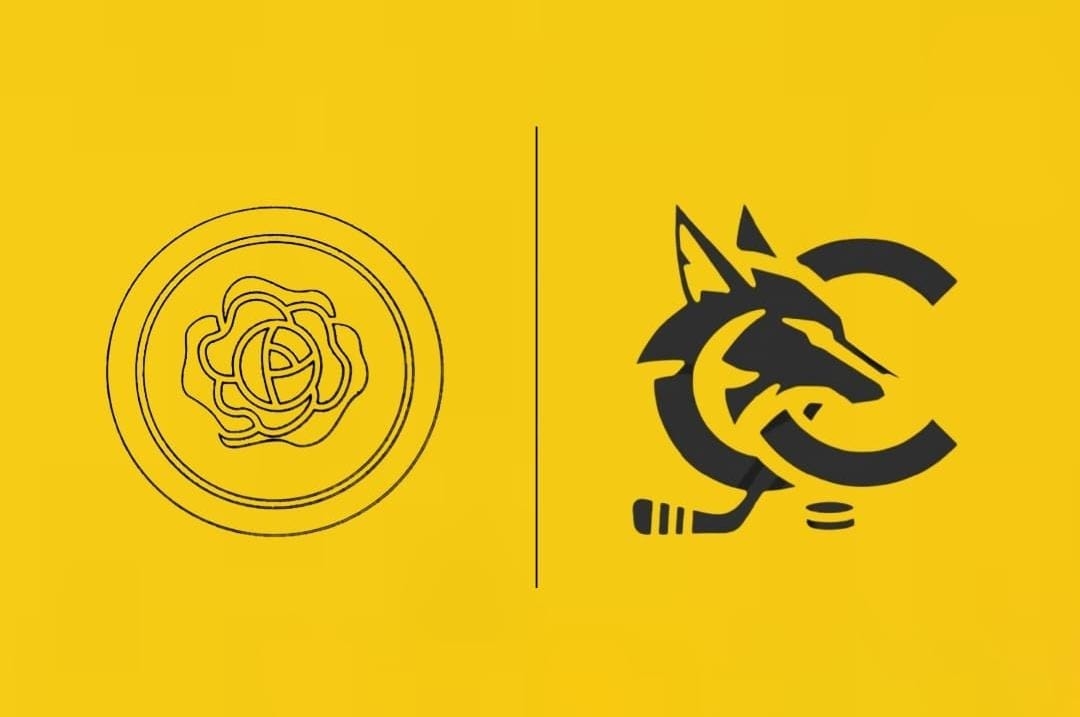 AC Starydom e i Cosmic coyotes hanno avviato una partnership.